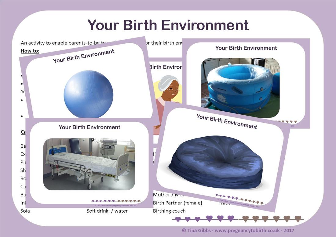 The Birth Environment Card Sort